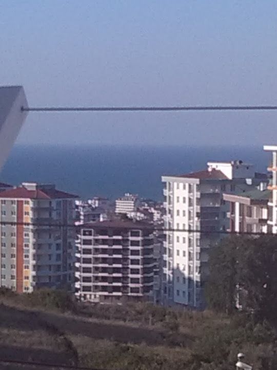 Tomurcuk Çay Bahcesi