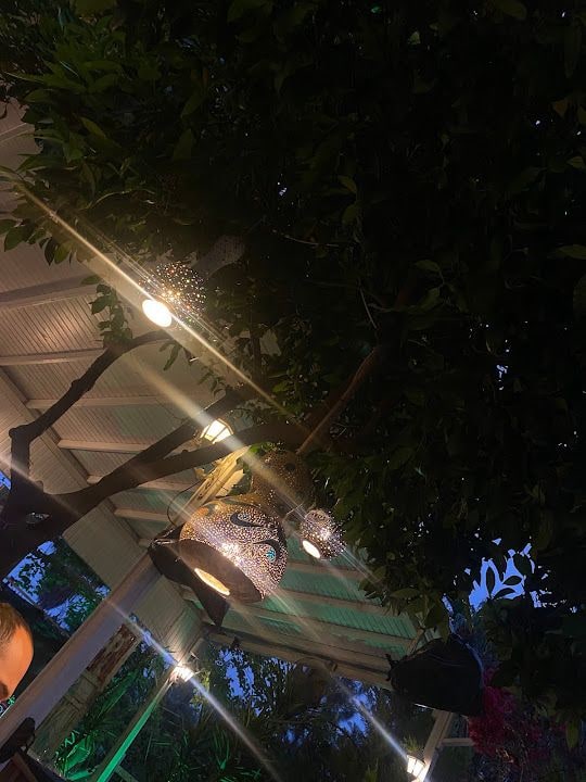 Yorum fotoğrafı 3