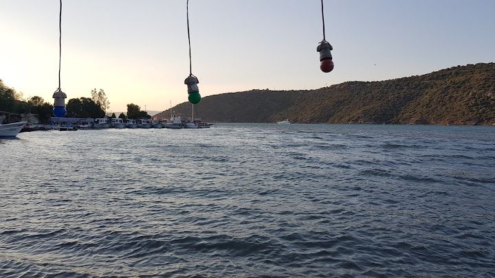 Fotoğraf 61