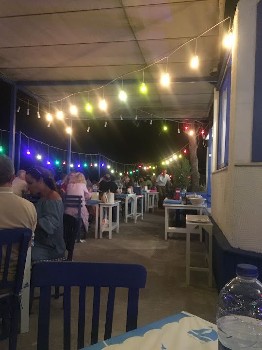 Fotoğraf 12