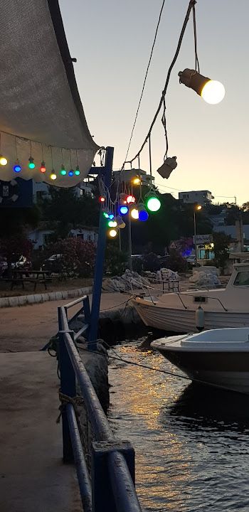 Fotoğraf 59