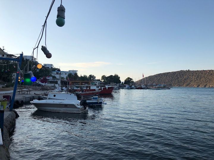 Yorum fotoğrafı 2