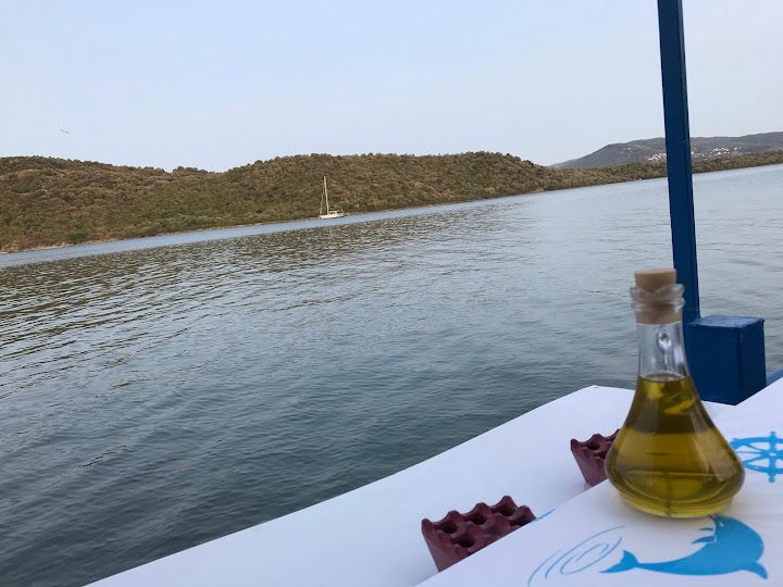 Fotoğraf 13