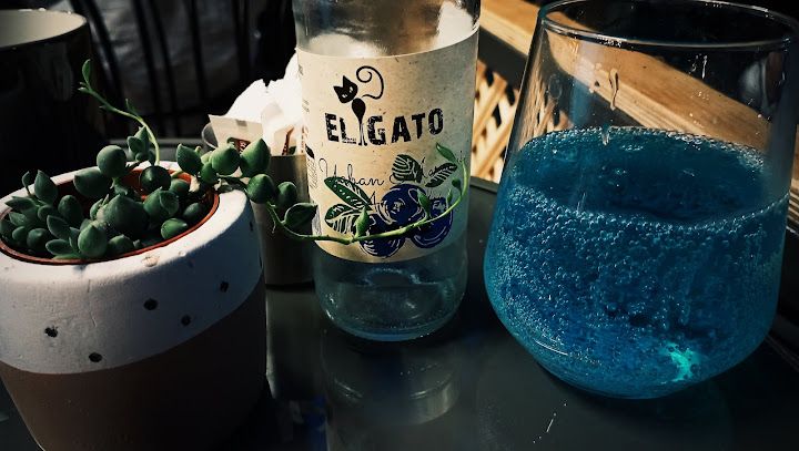 Fotoğraf 13