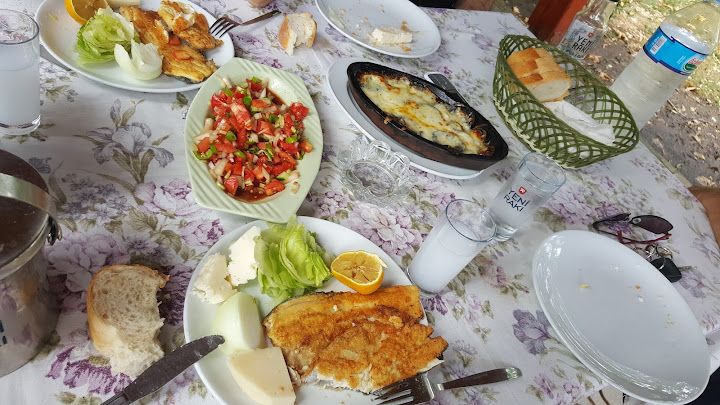 Havuzbaşı Canlı Alabalık Restoran