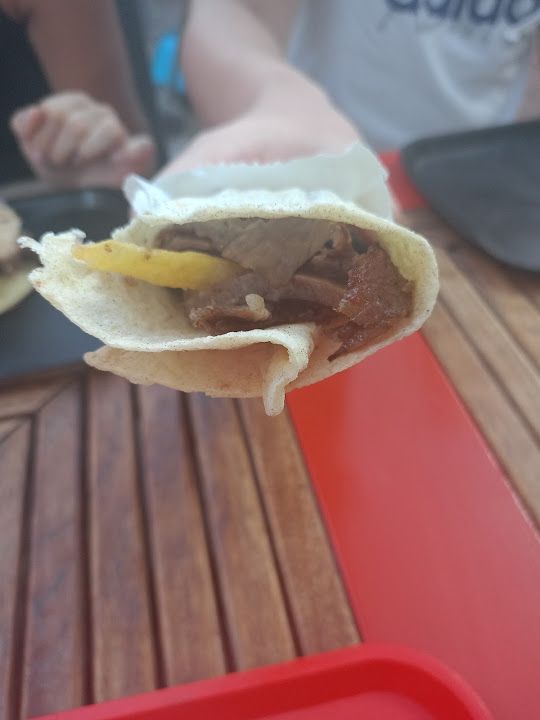 Fotoğraf 12