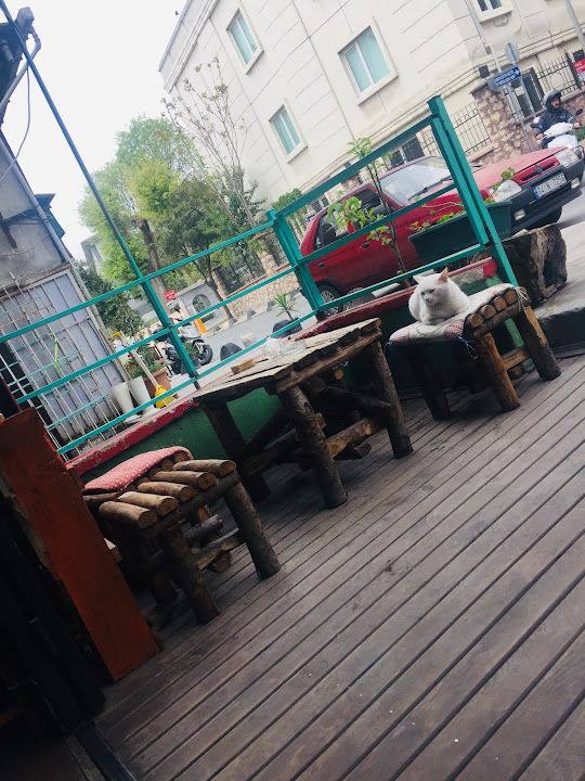 Fotoğraf 15