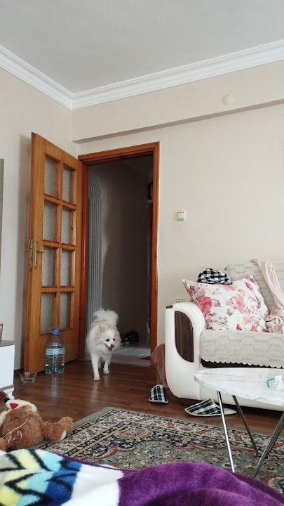 Engin Odunlu Ekmek Fırını