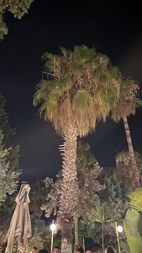 Fotoğraf 17