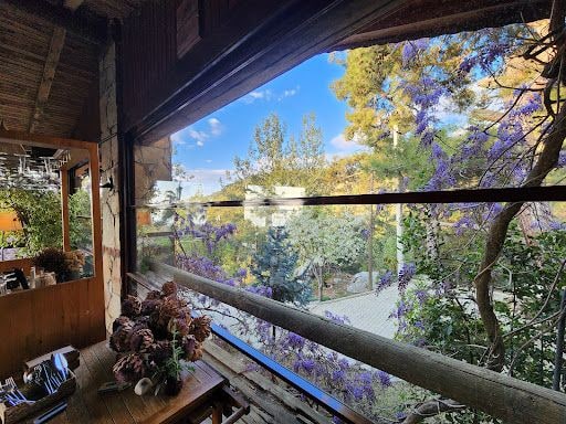Yorum fotoğrafı 8