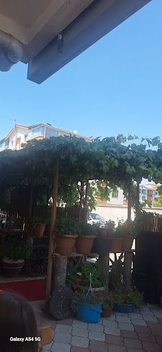 Yorum fotoğrafı 8