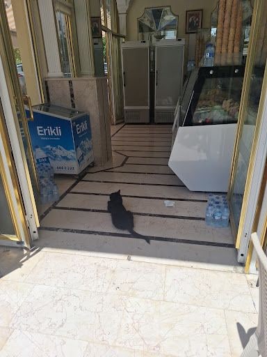 Yorum fotoğrafı 8