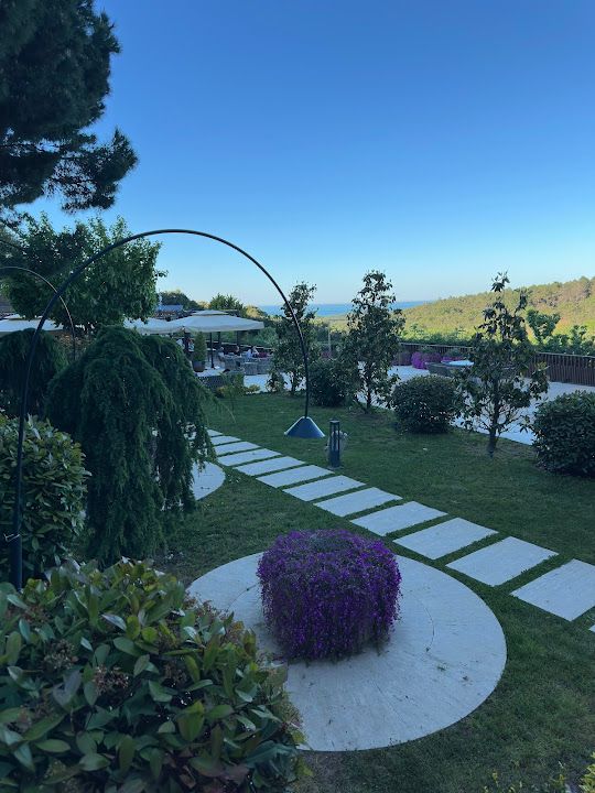 Fotoğraf 29