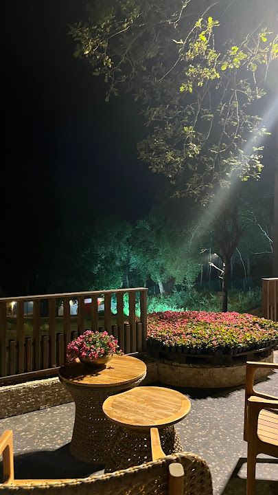 Fotoğraf 40