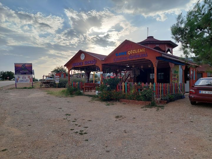 Yorum fotoğrafı 2