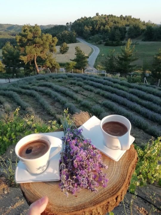 Fotoğraf 16