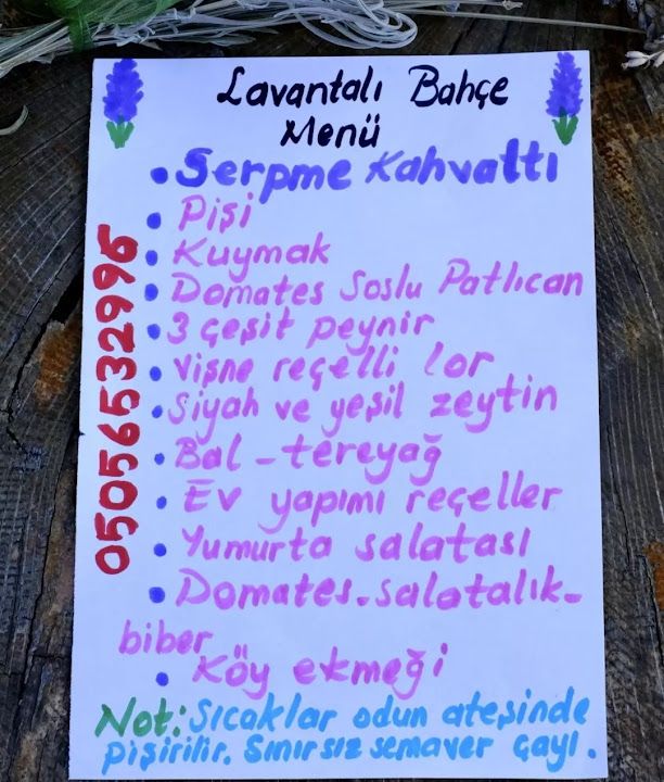Fotoğraf 37