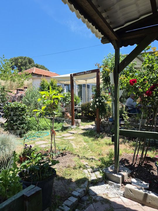 Fotoğraf 32