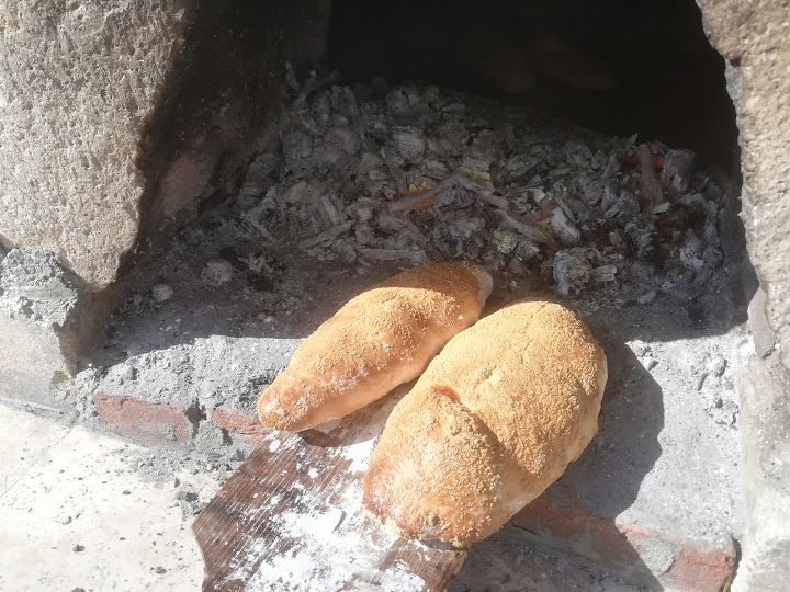Fotoğraf 41