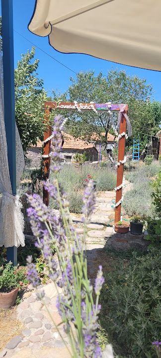 Fotoğraf 51