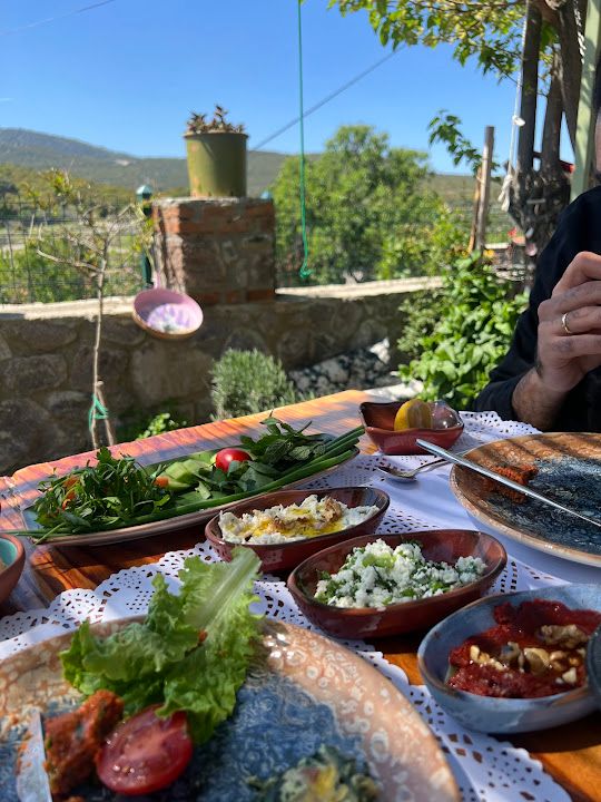 Fotoğraf 23