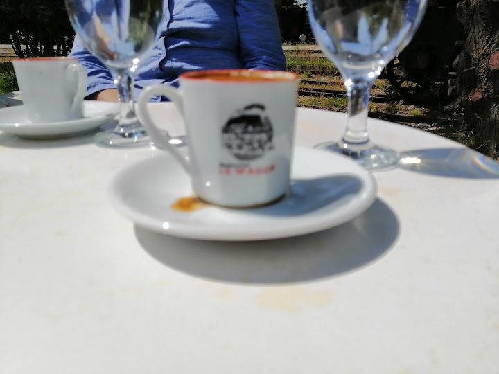 Fotoğraf 17