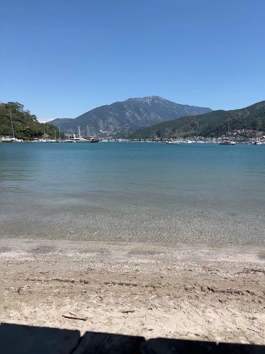 Fotoğraf 33