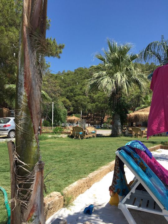 Yorum fotoğrafı 3