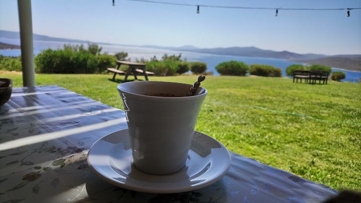 Fotoğraf 27