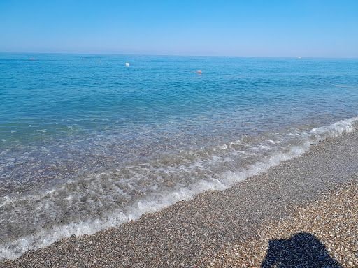 Fotoğraf 29