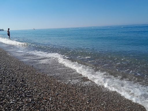 Fotoğraf 30