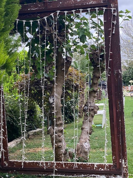 Fotoğraf 70