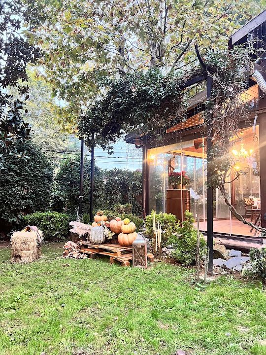 Fotoğraf 73
