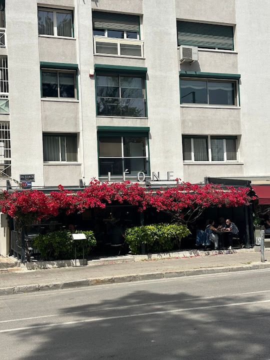 Fotoğraf 56