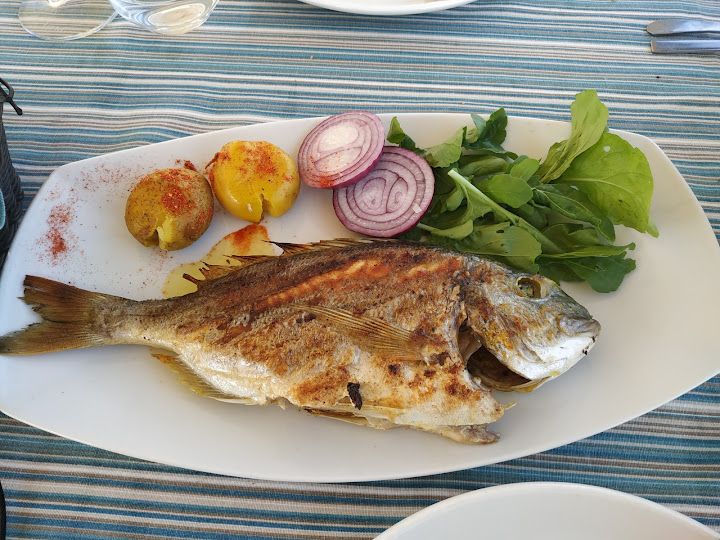 Fotoğraf 27