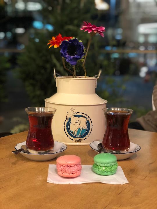 Fotoğraf 15