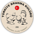 Levent Manul