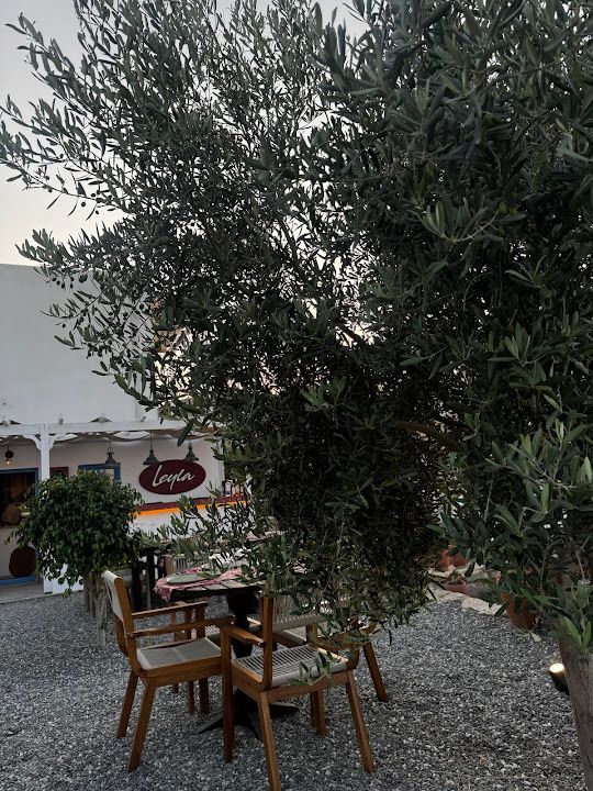Fotoğraf 50