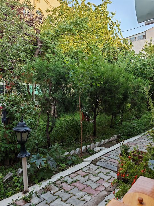 Yorum fotoğrafı 4