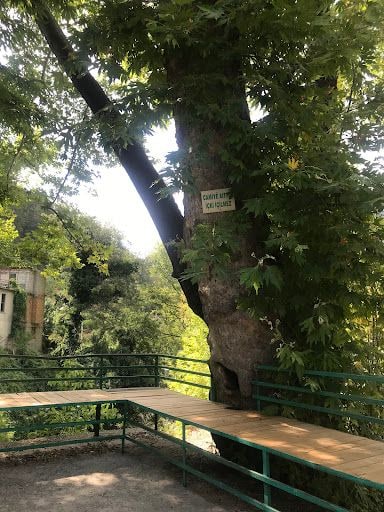 Yorum fotoğrafı 5
