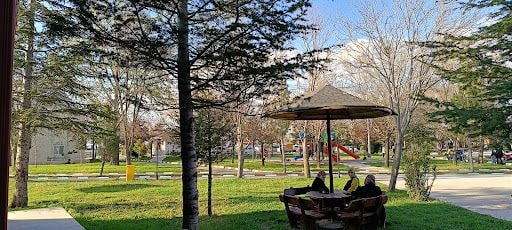 Yorum fotoğrafı 8