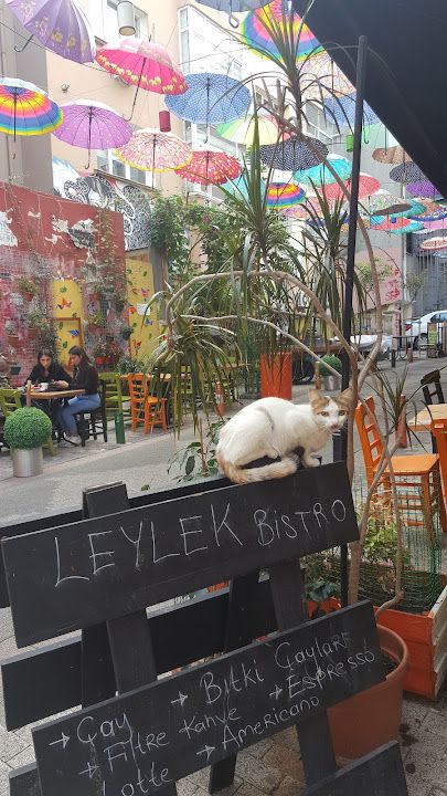 Yorum fotoğrafı 3
