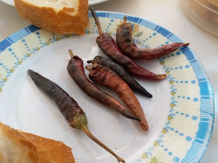 Fotoğraf 22