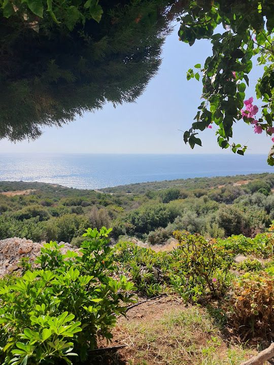 Yorum fotoğrafı 3