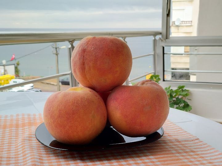 Fotoğraf 18