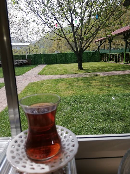 Fotoğraf 27