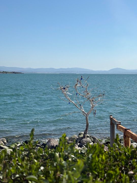 Yorum fotoğrafı 4