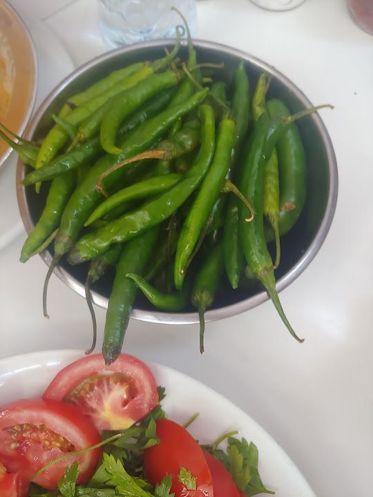 Fotoğraf 15
