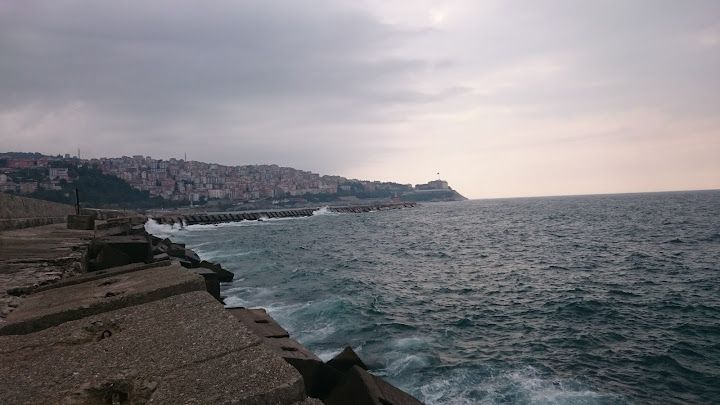 Yorum fotoğrafı 4