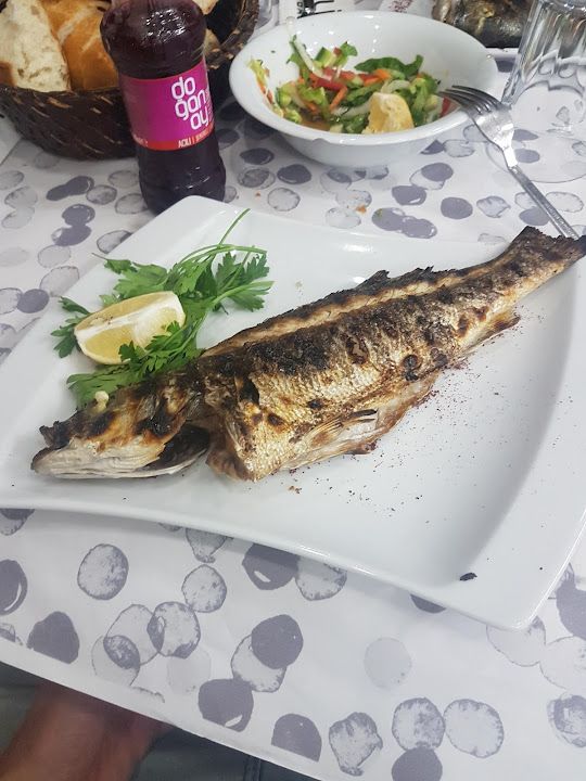 Fotoğraf 14
